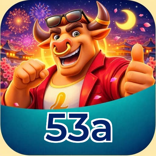 53a Installation